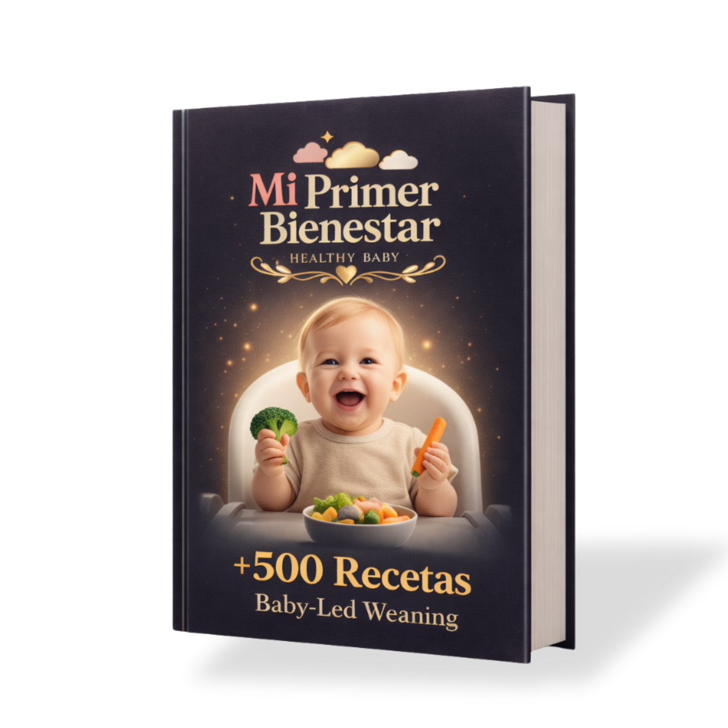 +500 Recetas BLW + 9 bonos de regalo